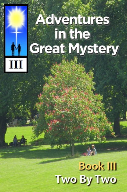 Book III. Front Cover